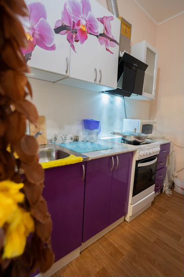 1-к. квартира, 27,9 м², 15/17 эт.