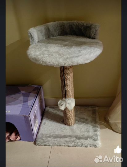 Когтеточка