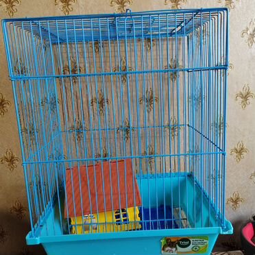 Клетка для грызунов бу