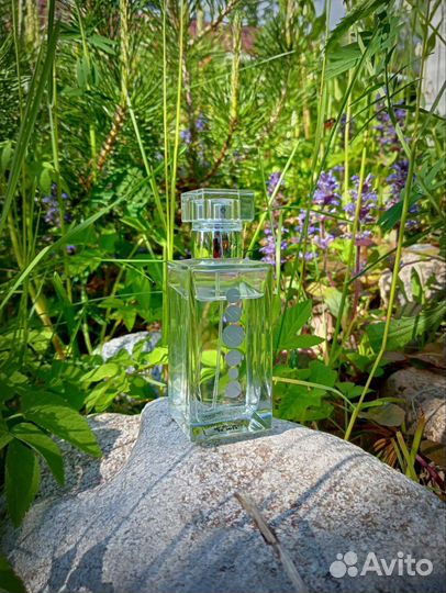 Селективная парфюмерия