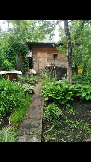 Дача 40 м² на участке 4 сот.