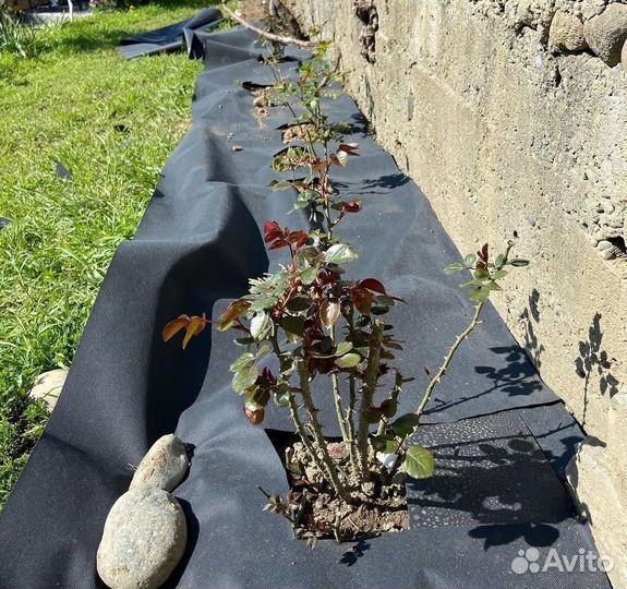 Геотекстиль оптом и в розницу