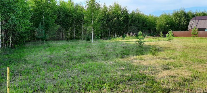 Участок 20,5 сот. (ИЖС)