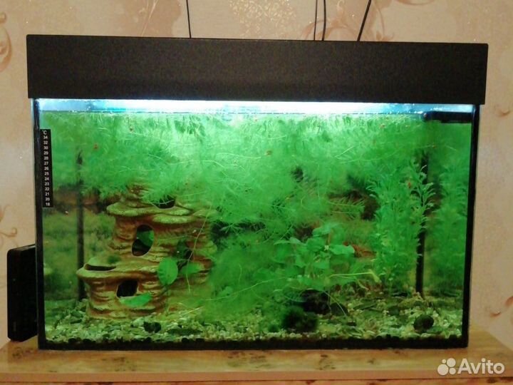 Аквариум