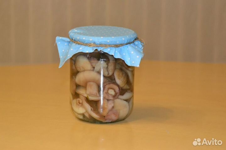 Соленые грибы-рыжики,грузди,белые,маслята, опята