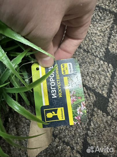 Самшитовый коврик