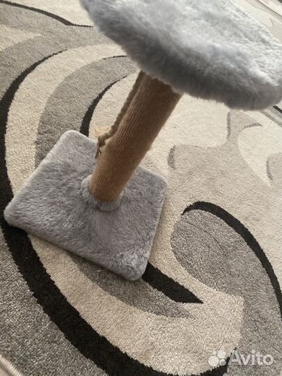 Когтеточка и лежанка