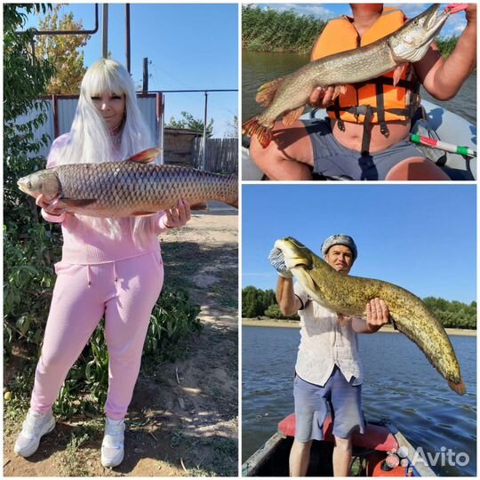 Рыбалка и отдых в Астрахани. Селитренное