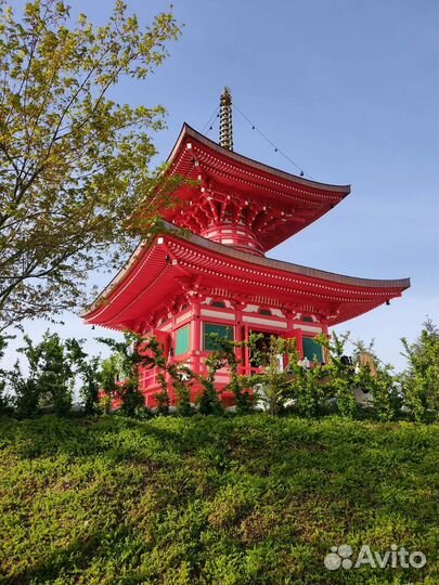 Экскурсии Японский сад Краснодар