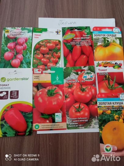 Рассада помидор(томат),перцев,баклажан,однолетник