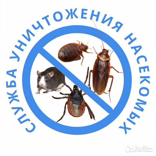 Уничтожение клопов и тараканов