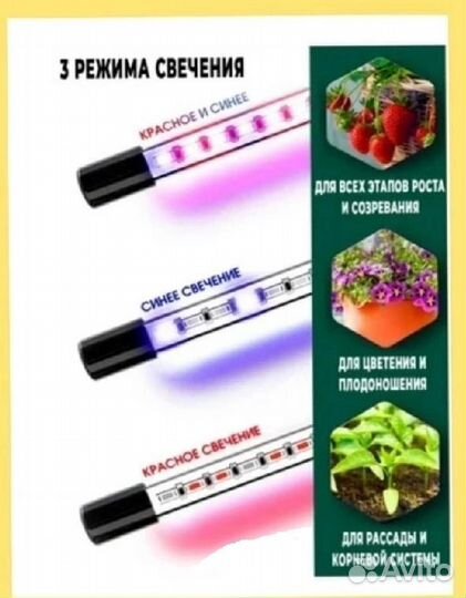 Фитолампа для растений, рассады 4 рожка