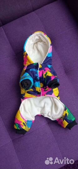 Одежда для собаки