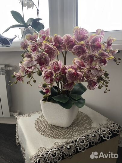 Композиция из орхидей