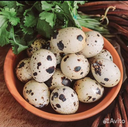 Мясо индоутки,козлят,свинина,сало,смалец, яйца