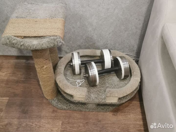 Когтеточка