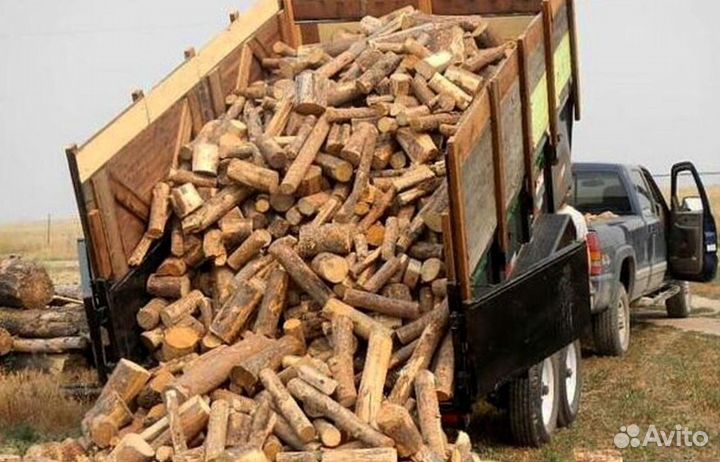 Дрова без гнили
