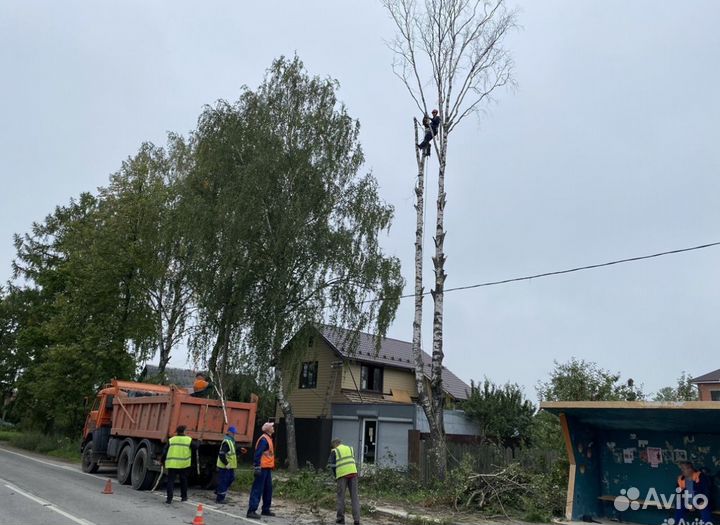 Расчистка участка уборка участка спил деревья