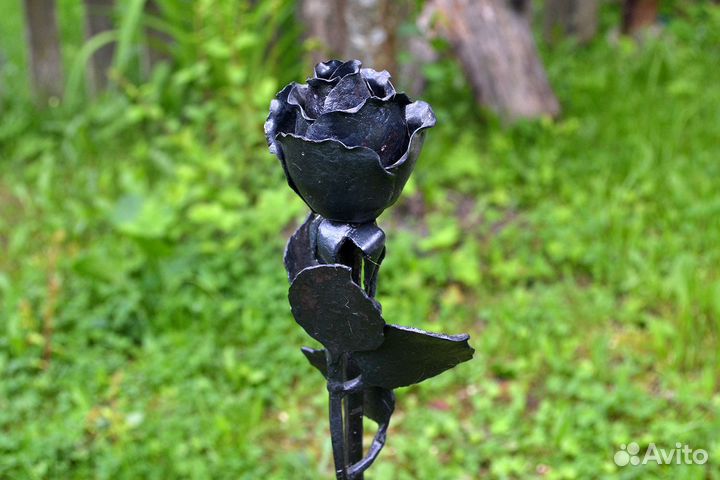 Роза цветы букеты