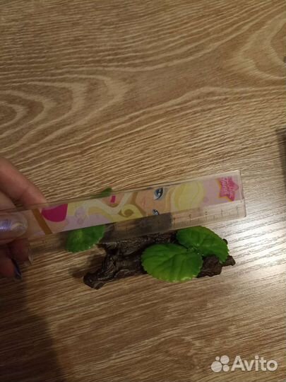 Коряга новая