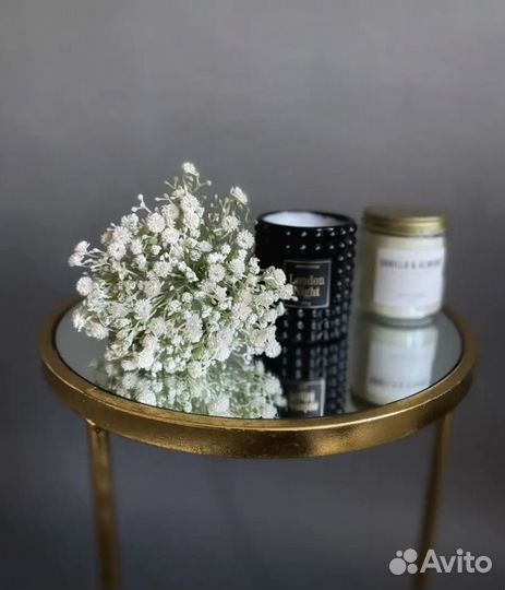 Гипсофила искусственная