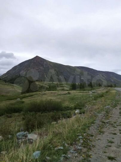 Участок 5,2 га (СНТ, ДНП)