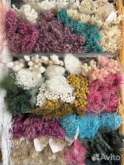 Сухоцветы Гортензия стабилизированная