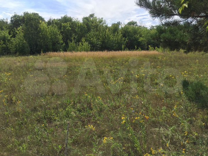 Участок 10 сот. (СНТ, ДНП)