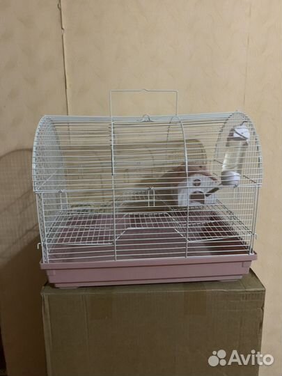 Клетка для грызунов