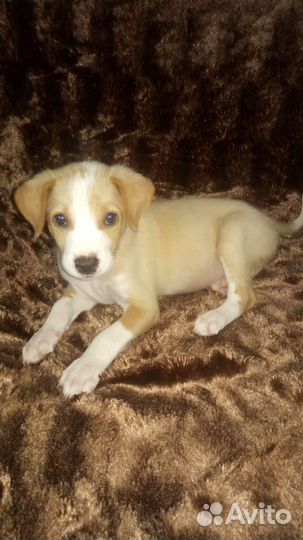 Вязка кабеля