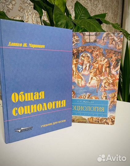 Социология