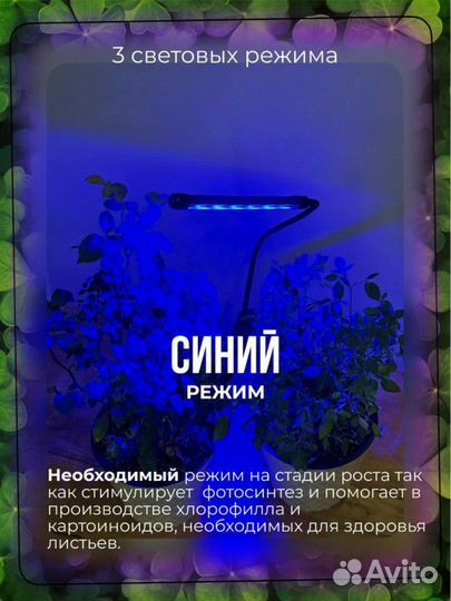 Фитолампа для растений на прищепке