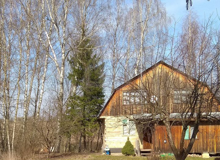 Снт бугорок астрахань. Дачи красный Яр Новосибирск. Лесная дача. На даче. СНТ
