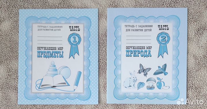 Рабочая тетрадь Окружающий мир ч.1,2.Гаврина С.Е