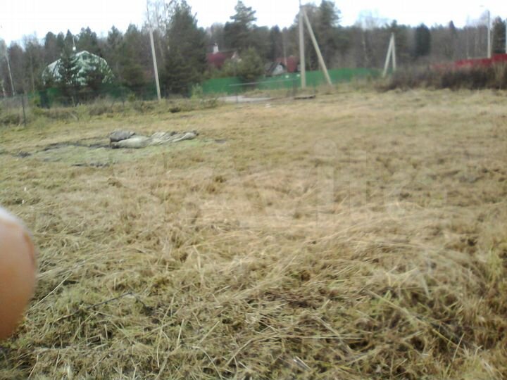 Участок 1,64 га (ИЖС)
