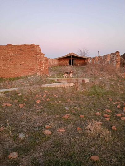 Участок 12 сот. (СНТ, ДНП)