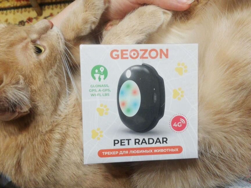 Geozon трекер для животных pet radar