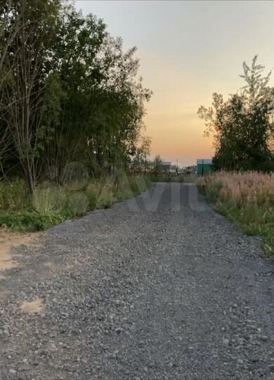 Участок 10 сот. (ИЖС)