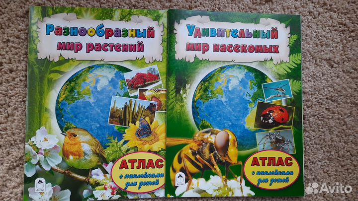 Развивающие книжки