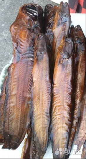 Рыба горячего копчения Арахлейских озëр