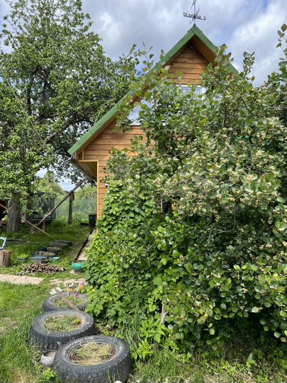 Дом 65 м² на участке 40 сот.