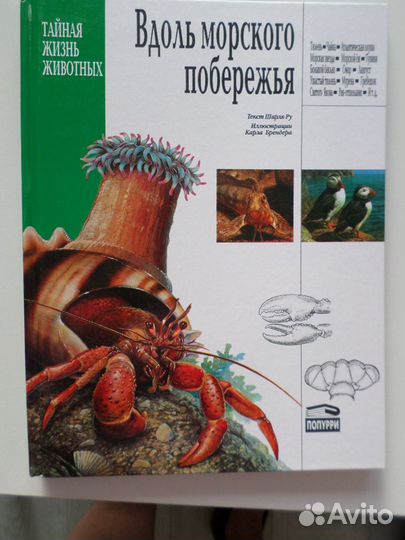 Серия «Тайная жизнь животных»