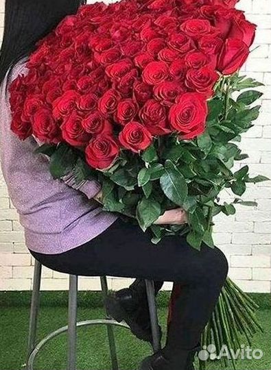 Высокие розы Гигантские Розы 150 160 170 180 190см