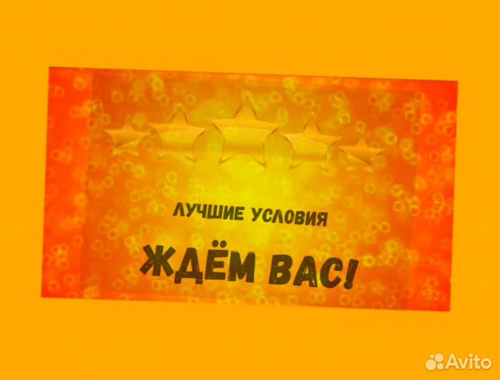 Наборщик заказов Без опыта Еженедельные выплаты