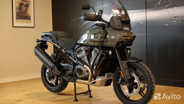 Pan America 1250 Special - Deadwood Green 