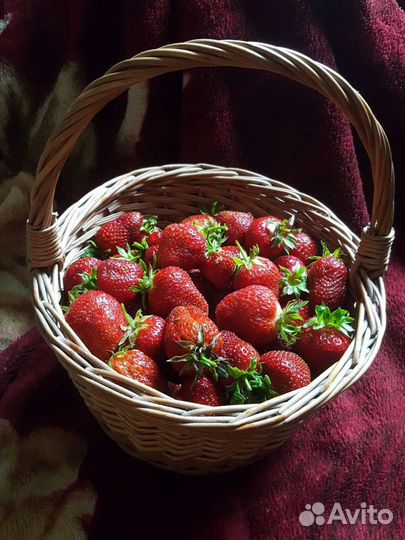 Клубника,земляника