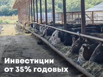 Инвестиции в действующую ферму на юге РФ