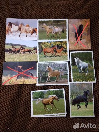 Открытки с лошадьми, животные и птицы