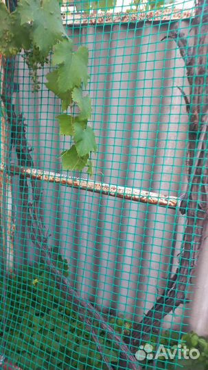 Сетка строительная