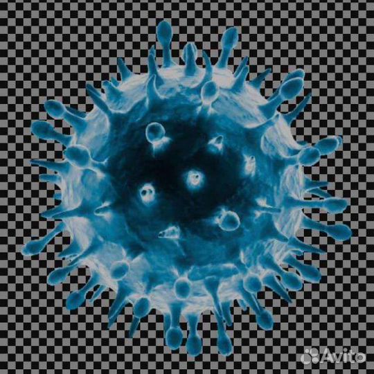 Администратор в ночной клуб